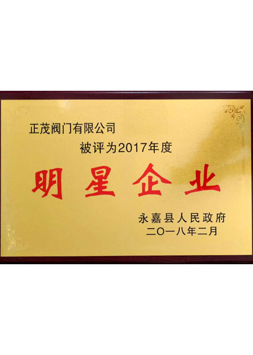 明星企业