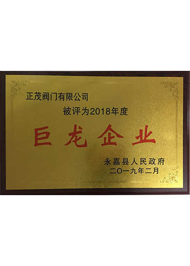 2018年度巨龙企业
