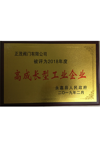 2018年度高成长型企业